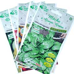 Sementeiras simples para jardins pequenos